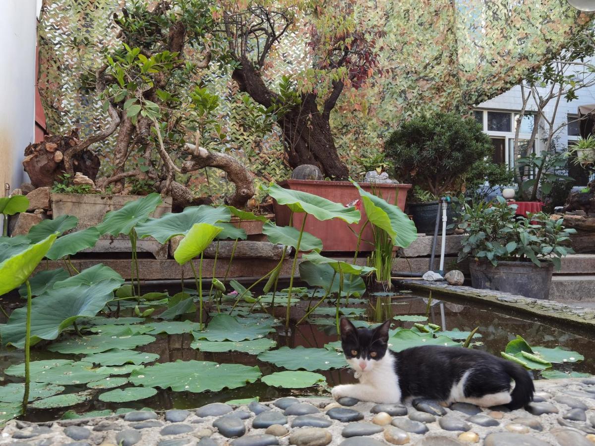The Lily Pad Inn Дали Экстерьер фото