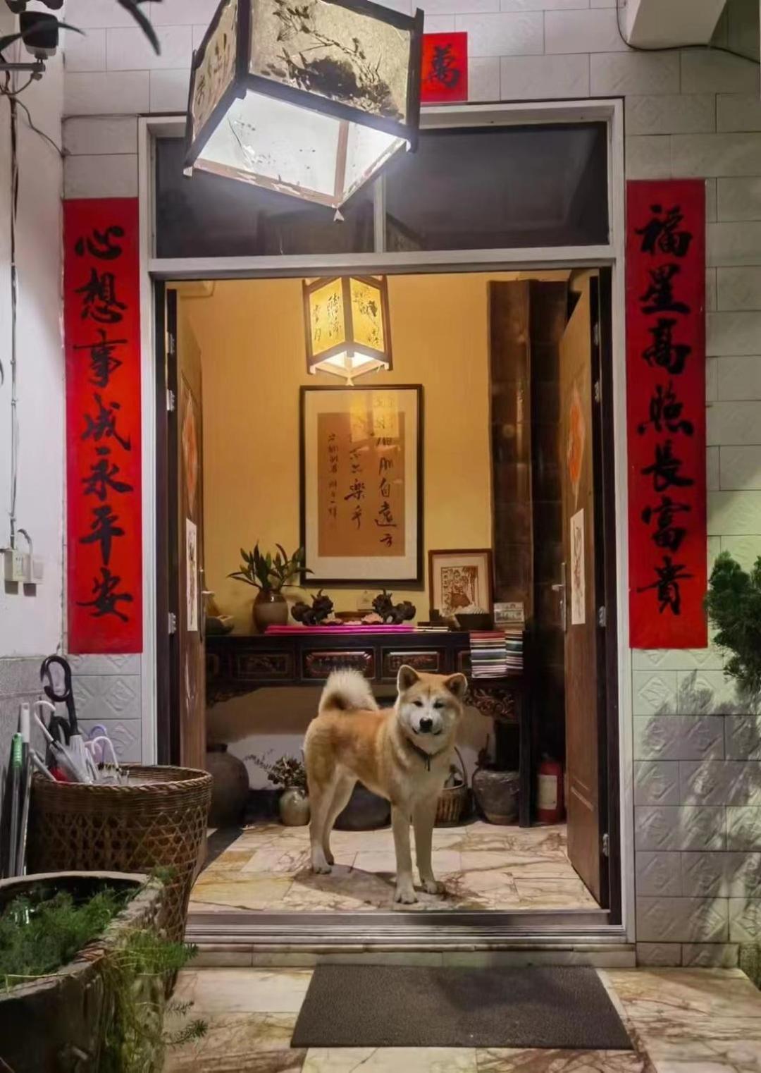The Lily Pad Inn Дали Экстерьер фото